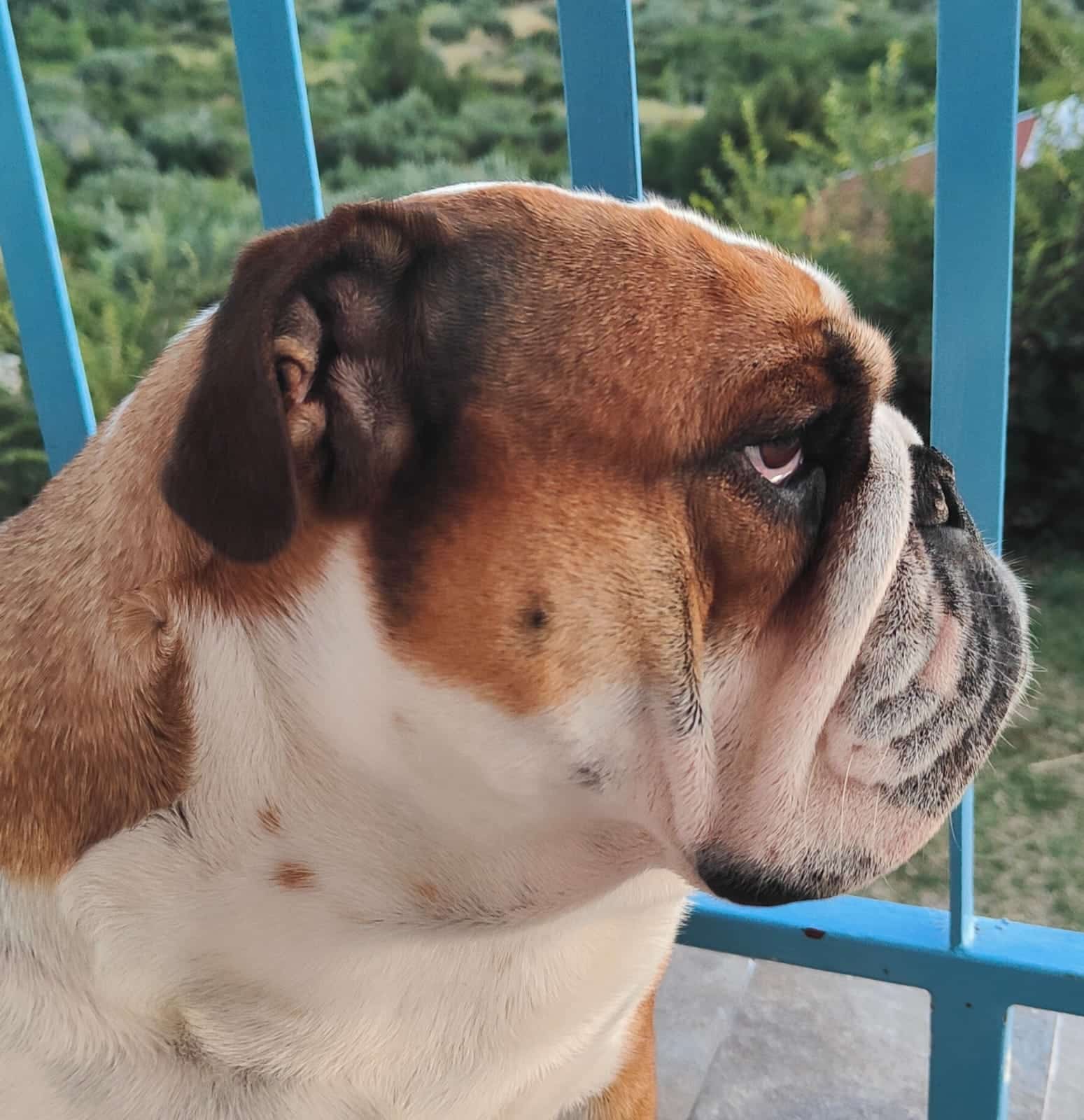 umberto